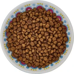 Frisco Kaleidoscope Pattern Non-skid Ceramic Cat Dish 13 Frisco Kaleidoscope Pattern Non-skid Ceramic Cat Dish -Pawfect Care 256092 PT5. AC SS1800 V1617042691