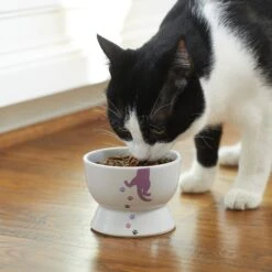 Frisco Cat Print Non-skid Elevated Ceramic Cat Bowl, Short -Pawfect Care 256096 PT2. AC SS1800 V1616522571