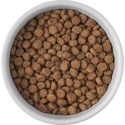 Frisco Cat Print Non-skid Elevated Ceramic Cat Bowl, Short -Pawfect Care 256096 PT4. AC SS1800 V1616522576