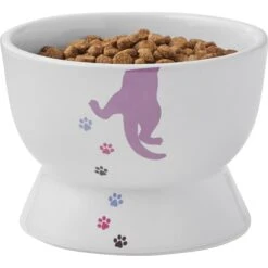 Frisco Cat Print Non-skid Elevated Ceramic Cat Bowl, Short -Pawfect Care 256096 PT5. AC SS1800 V1616522496