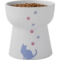 Frisco Cat Print Non-Skid Elevated Ceramic Cat Bowl, Tall -Pawfect Care 256099 PT5. AC SS1800 V1616522652