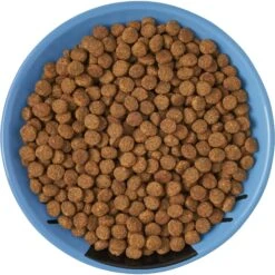 Frisco Cat Face Non-skid Ceramic Cat Dish, Blue -Pawfect Care 256101 PT5. AC SS1800 V1615321282