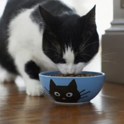 Frisco Cat Face Non-skid Ceramic Cat Bowl, Blue -Pawfect Care 256103 PT4. AC SS1800 V1617997004