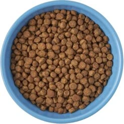 Frisco Cat Face Non-skid Ceramic Cat Bowl, Blue -Pawfect Care 256103 PT5. AC SS1800 V1615312900
