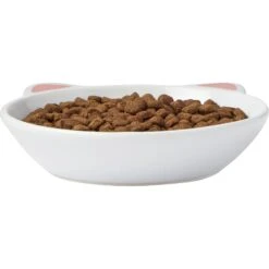 Frisco Cat Face Non-skid Ceramic Cat Dish -Pawfect Care 256105 PT3. AC SS1800 V1615321286