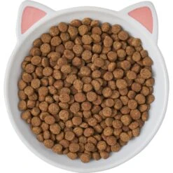 Frisco Cat Face Non-skid Ceramic Cat Dish -Pawfect Care 256105 PT5. AC SS1800 V1615321295