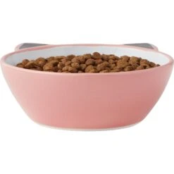 Frisco Cat Face Non-skid Ceramic Cat Bowl, Pink -Pawfect Care 256107 PT4. AC SS1800 V1616522565