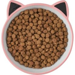 Frisco Cat Face Non-skid Ceramic Cat Bowl, Pink -Pawfect Care 256107 PT5. AC SS1800 V1616522494