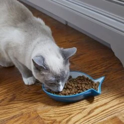 Frisco Fish Shaped Non-skid Ceramic Cat Dish -Pawfect Care 256109 PT3. AC SS1800 V1617196297
