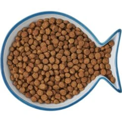 Frisco Fish Shaped Non-skid Ceramic Cat Dish -Pawfect Care 256109 PT6. AC SS1800 V1617196895