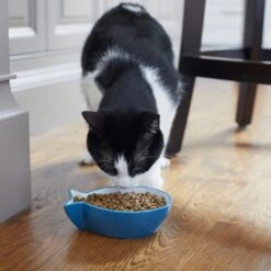 Frisco Fish Shaped Non-skid Ceramic Cat Bowl -Pawfect Care 256111 PT6. AC SS1800 V1617037703