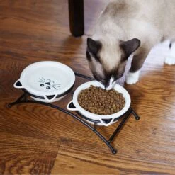 Frisco Cat Face Non-skid Elevated Double Ceramic Cat Bowl -Pawfect Care 256113 PT2. AC SS1800 V1616522604