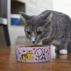 Frisco Paris Non-skid Ceramic Cat Dish -Pawfect Care 256117 PT2. AC SS1800 V1615311397