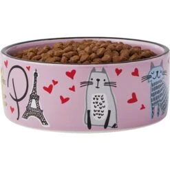 Frisco Paris Non-skid Ceramic Cat Dish -Pawfect Care 256117 PT3. AC SS1800 V1615311168