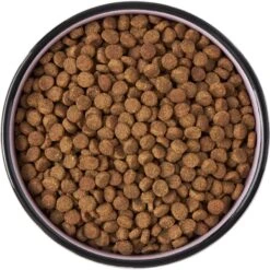 Frisco Paris Non-skid Ceramic Cat Dish -Pawfect Care 256117 PT5. AC SS1800 V1615311392