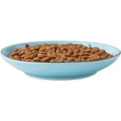Frisco New York Non-skid Ceramic Cat Dish -Pawfect Care 256119 PT5. AC SS1800 V1618494742