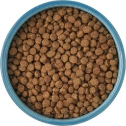 Frisco New York Non-skid Ceramic Cat Bowl -Pawfect Care 256121 PT5. AC SS1800 V1615311387