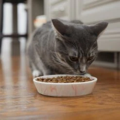 Frisco Marble Design Non-skid Ceramic Cat Bowl 13 Frisco Marble Design Non-skid Ceramic Cat Bowl -Pawfect Care 256125 PT6. AC SS1800 V1617037714