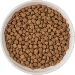 Frisco Marble Design Non-skid Ceramic Cat Dish -Pawfect Care 256127 PT5. AC SS1800 V1615321285