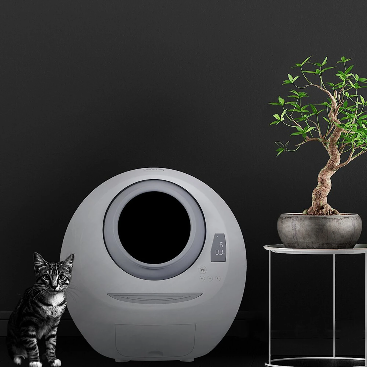 Casa Leo Leo's Loo Covered Automatic Self-Cleaning Cat Litter Box 5 Casa Leo Leo's Loo Covered Automatic Self-Cleaning Cat Litter Box - Image 3