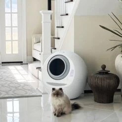 Casa Leo Leo's Loo Covered Automatic Self-Cleaning Cat Litter Box 19 Casa Leo Leo's Loo Covered Automatic Self-Cleaning Cat Litter Box -Pawfect Care 257260 PT8. AC SS1800 V1651423882