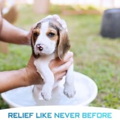 GROOM Bathing Tablets Bathe Your Dog In 5 Minutes! Pet Shampoo & Conditioner -Pawfect Care 258729 PT4. AC SS1800 V1693318181