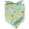 Frisco Citrus Personalized Dog & Cat Bandana -Pawfect Care 258758 MAIN. AC SS1800 V1619558872