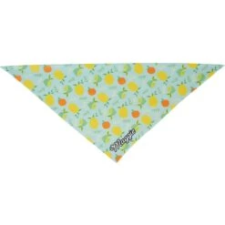 Frisco Citrus Personalized Dog & Cat Bandana -Pawfect Care 258758 PT3. AC SS1800 V1619559797