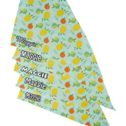 Frisco Citrus Personalized Dog & Cat Bandana -Pawfect Care 258758 PT4. AC SS1800 V1619558899