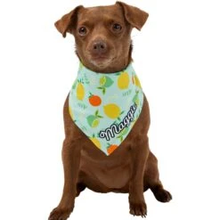 Frisco Citrus Personalized Dog & Cat Bandana -Pawfect Care 258758 PT6. AC SS1800 V1619560354
