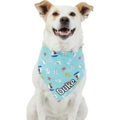 Frisco Nautical Personalized Dog & Cat Bandana -Pawfect Care 258762 PT6. AC SS1800 V1619559518