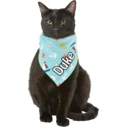 Frisco Nautical Personalized Dog & Cat Bandana -Pawfect Care 258762 PT7. AC SS1800 V1619558224