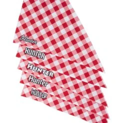 Frisco Gingham Personalized Dog & Cat Bandana -Pawfect Care 258775 PT4. AC SS1800 V1619558858