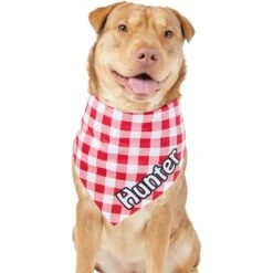 Frisco Gingham Personalized Dog & Cat Bandana -Pawfect Care 258775 PT6. AC SS1800 V1619558303