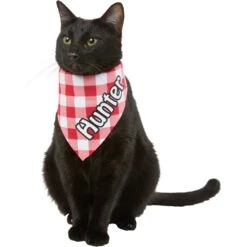 Frisco Gingham Personalized Dog & Cat Bandana -Pawfect Care 258775 PT7. AC SS1800 V1619558565
