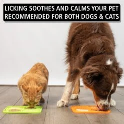 Hyper Pet IQ Rewards Cat & Dog Slow Feeder 11 Hyper Pet IQ Rewards Cat & Dog Slow Feeder -Pawfect Care 258929 PT2. AC SS1800 V1605883620