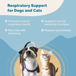 Prana Pets Respiratory Support Medicine For Asthma & Respiratory Infections For Cats & Dogs -Pawfect Care 258962 PT3. AC SS1800 V1675882685
