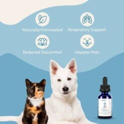 Prana Pets Respiratory Support Medicine For Asthma & Respiratory Infections For Cats & Dogs -Pawfect Care 258962 PT5. AC SS1800 V1675882686