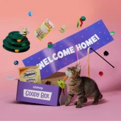Goody Box Kitten Toys & Treats -Pawfect Care 258991 PT2. AC SS1800 V1657656401