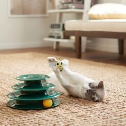 Goody Box Kitten Toys & Treats -Pawfect Care 258991 PT5. AC SS1800 V1657656402