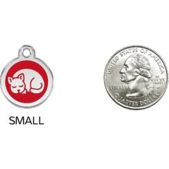 Red Dingo Kitten Personalized Stainless Steel Cat ID Tag, Small -Pawfect Care 260285 PT8. AC SS1800 V1617690716