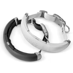 Red Dingo Mouse Personalized Stainless Steel Cat ID Tag, Small 16 Red Dingo Mouse Personalized Stainless Steel Cat ID Tag, Small -Pawfect Care 260326 PT7. AC SS1800 V1627925769