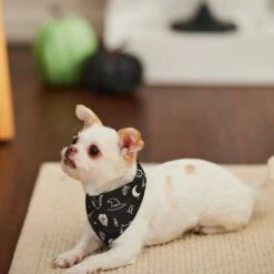 Frisco Glow In The Dark Mystical Print Dog & Cat Bandana -Pawfect Care 261218 PT5. AC SS1800 V1633057869