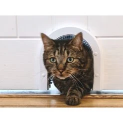 Cathole ECO Cat Door, White 11 Cathole ECO Cat Door, White -Pawfect Care 261768 PT2. AC SS1800 V1611090422