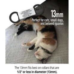 DOG ID Personalized Cat ID Tag -Pawfect Care 262043 PT2. AC SS1800 V1607481764