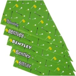 Frisco Golf Personalized Dog & Cat Bandana -Pawfect Care 263017 PT4. AC SS1800 V1619807852