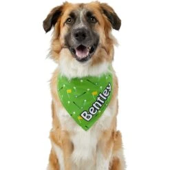 Frisco Golf Personalized Dog & Cat Bandana -Pawfect Care 263017 PT6. AC SS1800 V1619557636