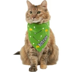Frisco Golf Personalized Dog & Cat Bandana -Pawfect Care 263017 PT7. AC SS1800 V1619557647