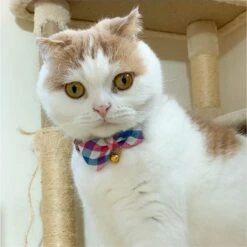 Necoichi Purrfect Picnic Bow Tie Cotton Breakaway Cat Collar With Bell -Pawfect Care 263683 PT7. AC SS1800 V1607994738