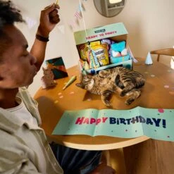 Goody Box Birthday Cat Toys, Treats & Collar -Pawfect Care 264415 PT2. AC SS1800 V1678387796